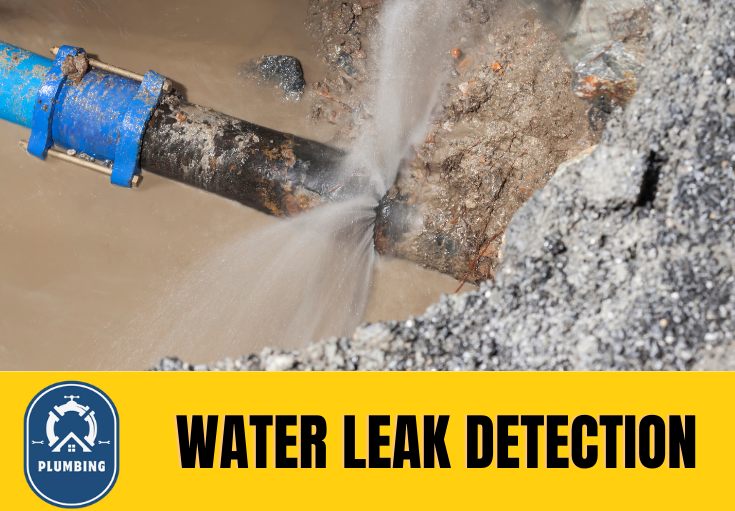 leak detection Salford